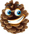 animations et services camping services