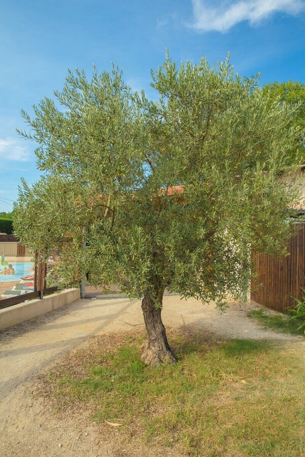 informations à savoir camping