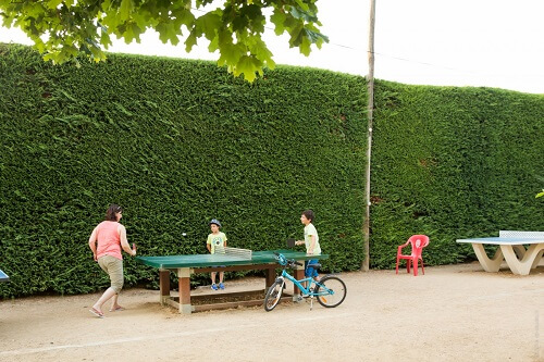 ping pong