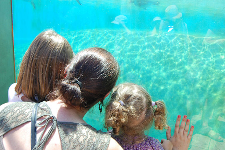 famille-aquarium camping drome