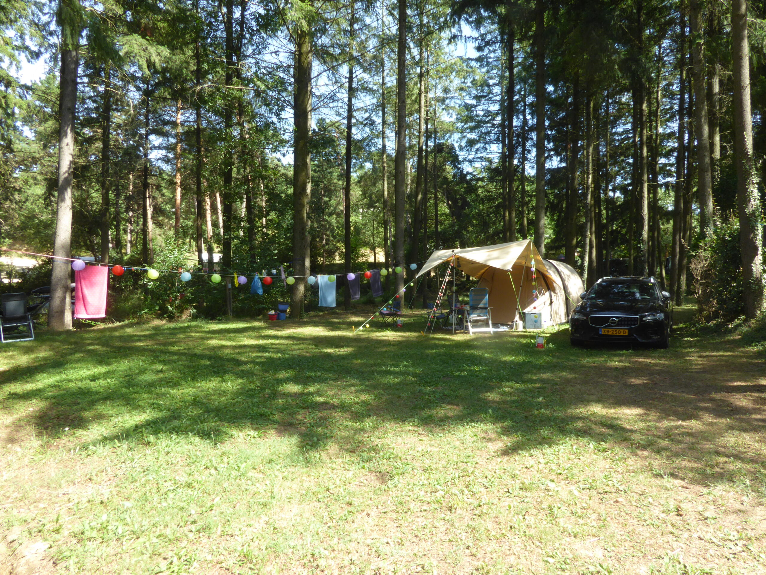 Grand emplacement ombragé camping nature et famille