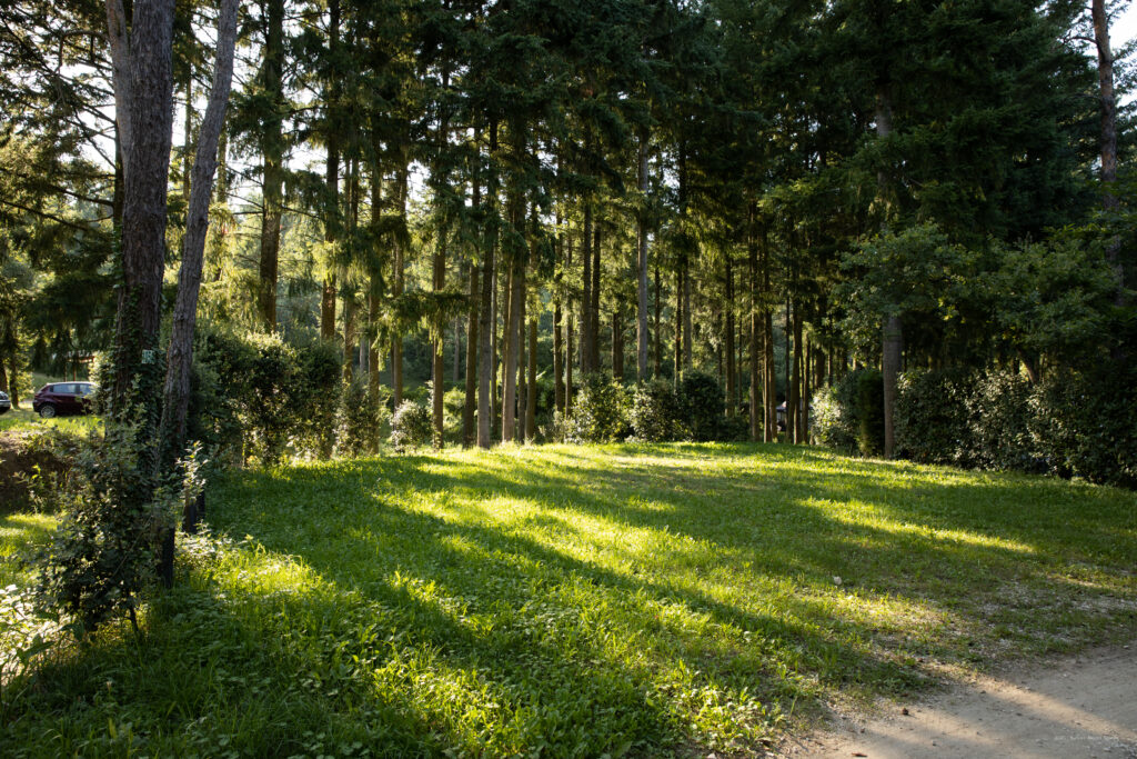emplacement grand camping
